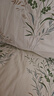 洁丽雅（Grace）7A抗菌100%纯棉四件套新疆棉床上用品床单被套150*200cm0.9/1.2米床 实拍图