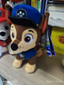 汪汪队立大功（PAW PATROL）毛绒玩具狗狗陪睡玩偶经典款阿奇站姿公仔男女孩六一儿童节礼物 实拍图