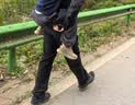 迪士尼童鞋春秋款米奇飞织椰子鞋软底透气男女童运动鞋 橘/棕 31 实拍图