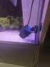 森森（SUNSUN）造浪泵鱼缸水族箱冲浪泵耀蓝造流吹粪便吹鱼便 升级双头14W磁铁款 高效强劲 流量调节 实拍图