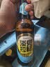 海底捞拉格 500ml*12瓶 低温发酵 精酿啤酒 整箱装踏春送礼 实拍图