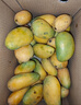 京鲜生 海南小台农芒果3斤装 单果70g起 新鲜水果 实拍图