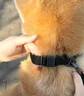多尼斯（DOGNESS）狗狗牵引绳遛狗绳狗链子项圈幼小型犬泰迪贵宾比熊博美柯基 黑S 实拍图