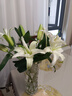 悦多彩AB级优质香水百合 家庭办公室各色生活鲜花 昆明基地 现采直发 白色百合10朵（双头5枝） 实拍图
