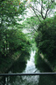 松下S9（20-60mm F3.5-5.6）（Panasonic）全画幅微单 实时Lut 滤镜直出 连接app极速分享 灰银 实拍图
