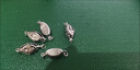 DAISY DREAMS925银元宝扣穿珍珠项链锁扣吊坠手链连接扣串珠扣头diy配件专用 【银色小号】925银元宝扣 实拍图