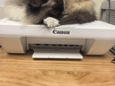 佳能（Canon） MG2580WH打印复印扫描一体机喷墨彩色打印机家用照片学生办公可加墨 MG2580官方标配【标配不可加墨，推荐套餐二】 实拍图