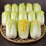 云南高原黄心娃娃菜农家自种新鲜大颗当季脆甜白菜 带箱2斤 净重1.8斤 实拍图