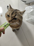 多特思猫零食小轻松猫草猫条50支0肉粉0诱食剂排毛化毛成幼猫条软罐头 实拍图