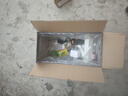 Barbarous Growth乌龟饲养缸生态造景家用带盖小型别墅爬台底部排水专用箱巴西龟缸 盖板+晒台+雨淋过滤+晒背灯+礼包 特大号-50*24*24.5cm 黑色【防逃逸|加厚|加高】 实拍图