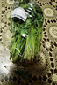 带根香菜100g 实拍图