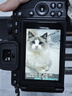 尼康（Nikon）Z50II/z50二代/z502入门级微单相机 尼康云创Vlog自拍高清旅游照相机Z50II套机/拆单机 Z50II 16-50/50-250双镜头套机 标配【送128G卡+包+座充 实拍图