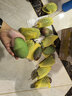 京鲜生海南贵妃芒 芒果净重4.5斤装单果150g起 源头直发 实拍图