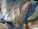 龙猫博士惊喜拉拉裤XXL码42片【13-16kg】超薄干爽婴儿尿不湿全包臀尿裤 实拍图