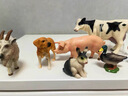 babycare&bctoys儿童玩具实心仿真农场动物桶动物模型奶牛绵羊金毛犬 实拍图