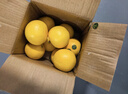 京鲜生 埃及进口红心西柚净重5斤装 单果220g起 新鲜水果  实拍图