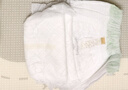 babycare金山茶花拉拉裤XL34片(12-17kg)婴儿尿不湿超薄透气新生柔花苞裤 实拍图