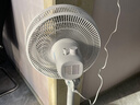 美的（Midea） 电风扇 家用风扇7叶落地扇立式轻音节能大风量电扇台扇迷你扇台立两用转页扇空气循环扇安静低音 店长推荐丨7叶劲风 百万单·SAF30AC 家用落地扇 实拍图