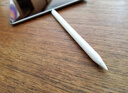 Apple/苹果 Pencil(第一代) 带USB-C转换器 触控笔手写笔苹果笔电容笔 适用部分iPad 11/Pro/Air机型 实拍图