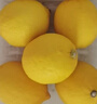 京鲜生 安岳黄柠檬 4粒 单果95g起 生鲜水果  实拍图