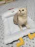 乐优派夏季猫窝狗窝四季通用垫子空调窝宠物窝冰丝睡垫可拆洗冰豆豆窝-L 实拍图