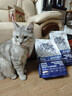 卫仕深海美毛爆爆袋猫干粮成猫幼猫冻干鲜肉猫粮4.5kg 实拍图