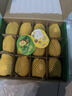 佳沛（zespri）新西兰 新果季 阳光金奇异果12粒特大果单果124-146g 猕猴桃 实拍图