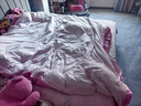 京东京造大白被 100%原生纤维A类磨毛保暖被子冬季被芯6斤2x2.3m 实拍图