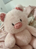 名创优品（MINISO）福莉丝猪系列-乖乖坐姿公仔毛绒玩具玩偶抱枕娃娃生日礼物女 实拍图