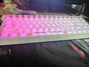 迈从（MCHOSE）Ace 68 V2磁轴键盘Gus同款RT电竞游戏低延迟60pro机械有线连接68键配列FPS双驱动无畏契约 Ace 68 V2 超竞版雾透粉 宝马磁轴+RT键 实拍图