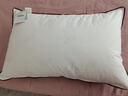 水星家纺枕头枕芯酒店枕头护颈枕头芯家用单个纯棉抗菌可水洗中枕48x74cm 实拍图