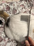 茨格曼  宠物排梳猫梳子去浮毛大号狗梳子专用开结梳子泰迪美容用品 实拍图