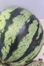 京鲜生 无籽麒麟大西瓜 1粒装 净重7-9斤 生鲜水果 实拍图