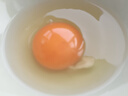 鲜窝窝 马铃薯鲜粉200g*3 土豆湿粉条细粉条火锅食材砂锅粉丝 实拍图