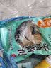曾晖快意江湖曾大盆鲤鱼饵纵横四方鲫鱼散炮泡泡球钓鱼黑坑专用饵料官方 鲫炮 实拍图