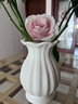 心楠法式陶瓷花瓶小高级感插花复古美式玫瑰客厅轻奢摆件白色奶油风 素白陶瓷花瓶【磨砂款】 实拍图