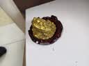 缤越黄铜金蟾招財摆件铜金蟾蜍三足金蟾金蝉摆件客厅玄关摆件开业礼物 实拍图