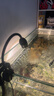 boxtech变焦水族射灯原生南美鱼缸灯水草照明灯龟缸LED灯夹灯夜灯三色灯 10W旋钮款-变焦射灯（可夹1.2厘米内玻璃） 实拍图
