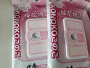 KONOKO宠物免洗手套幼犬干洗擦全身猫咪清洁狗狗洗澡用品除臭湿纸巾3包 实拍图