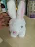 威尔通（WELTSTON）毛绒公仔跳舞布娃娃玩偶玩具儿童生日礼物礼品女生电动宠物小白兔 实拍图