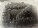 海晏堂 大连淡干海参 50g 12-18只 辽刺参 海参干货海鲜年货滋补礼盒 实拍图