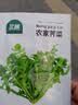 北蔬荠菜种子苗农家大叶四季播种野菜菜种籽 农家荠菜种子10g约5万粒 实拍图