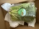 密云农家 本地鲜摘菠菜300g 农家自种 火锅食材绿叶菠菜蔬菜生鲜 菠菜 300g 实拍图
