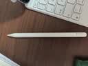Apple/苹果【教育优惠】Pencil Pro 磁吸触控笔苹果笔电容笔ipad笔 适用于iPad mini/Pro/Air 实拍图