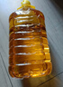 鲁花食用油 物理压榨 非转基因 玉米油6.18L 家用粮油 健康植物油 实拍图