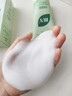 BUV蔡徐坤小绿泥叶绿素氨基酸洗面奶控油去黑头收毛孔洁面深层清洁 实拍图