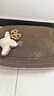 【京东物流】猫抓板磨爪猫窝一体耐磨不掉屑超大号猫玩具猫咪用品 椭圆大号+猫薄荷 实拍图