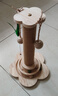 HELLOJOY猫抓柱实木剑麻猫抓板猫架猫咪玩具解闷磨爪猫抓柱立式猫树猫爬架 实拍图