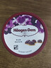 哈根达斯（Haagen-Dazs）经典芒果口味冰淇淋 100ml/杯 雪糕 实拍图