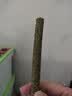 洁西 磨牙草棒 装兔子磨牙棒仓鼠龙猫荷兰鼠混合牧草磨牙零食20支*2罐 实拍图